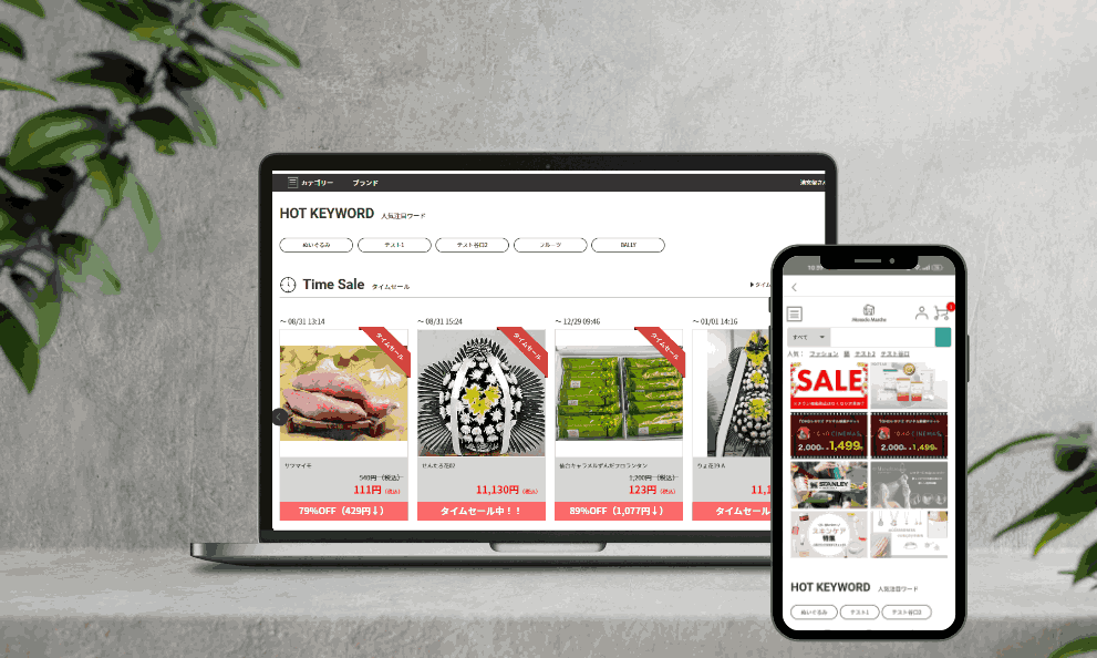 E-Commerce Development